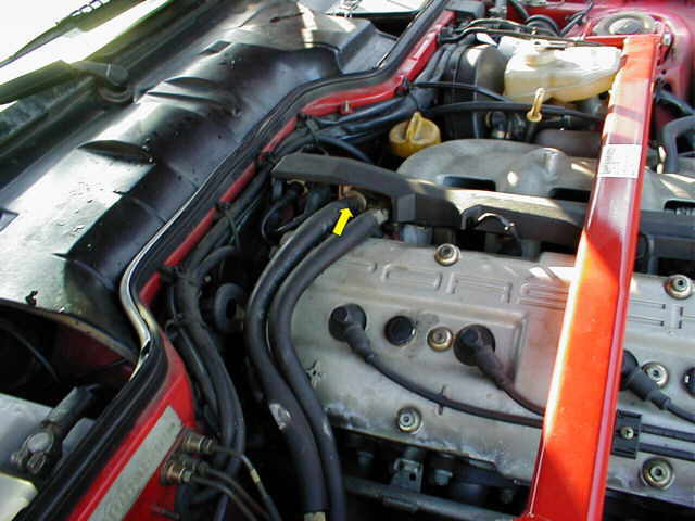 Zum Vergr&ouml;&szlig;ern anklicken