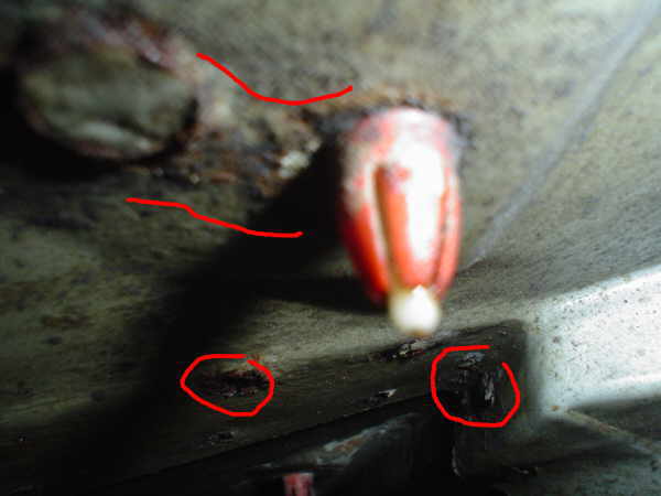 zum Vergr&ouml;ssern anklicken